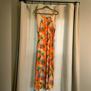 The Impeccable Pig “Island in the Sun” Maxi Dress
